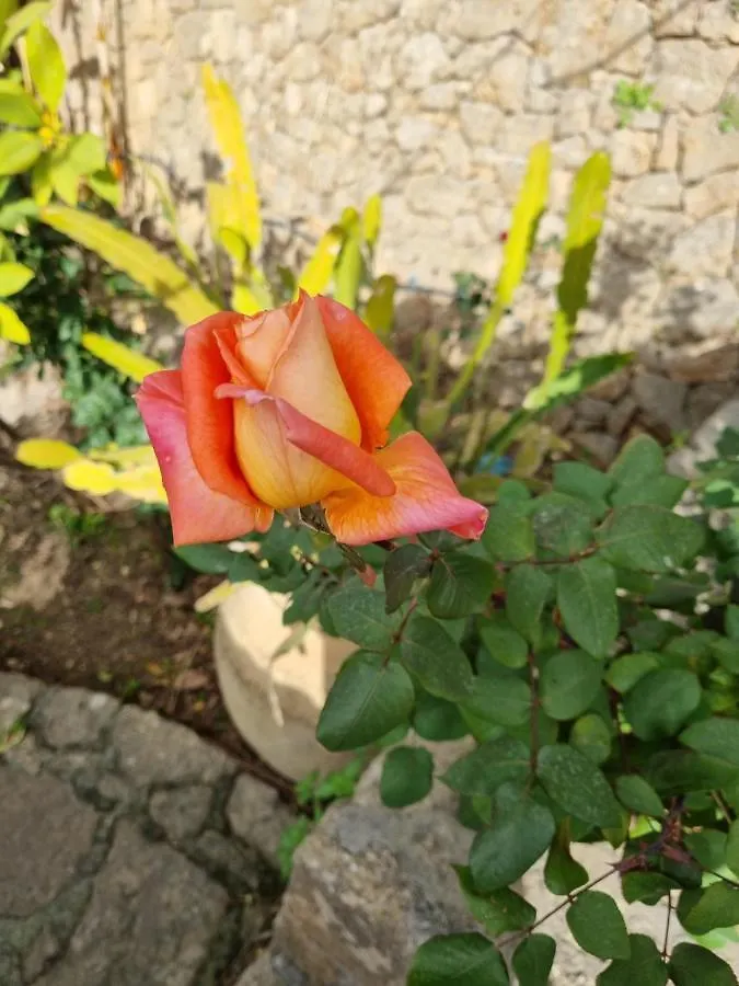 Villa Sul Molo Tra Siracusa E Catania Augusta Italie